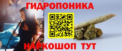 шишки Конаково