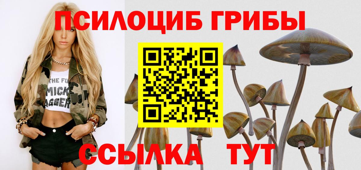 Псилоцибиновые грибы GOLDEN TEACHER Махачкала