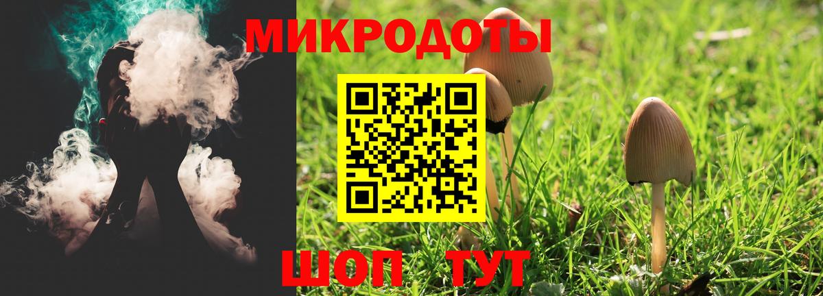 COCAIN Махачкала